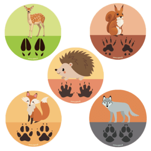 CEP Jeu de stickers empreintes d animaux 7010-25