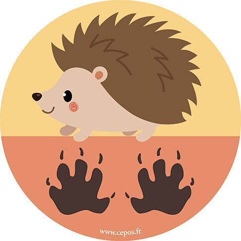 Jeu de 5 stickers empreintes d'animaux - Cep Office Solutions